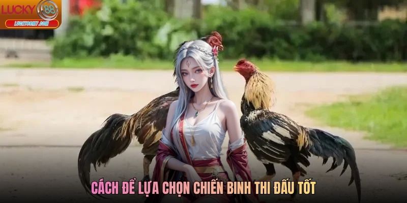 Cách để lựa chọn chiến binh thi đấu tốt