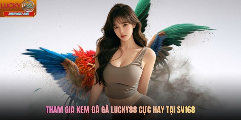 Tham gia xem đá gà Lucky88 cực hay tại SV168